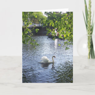 Beauty under the boughs karte