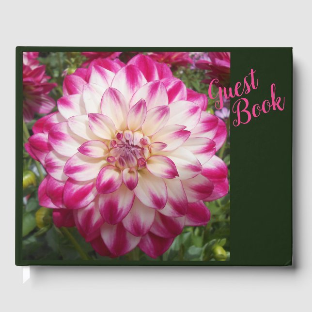 Beaux Gästebuch (Vorderseite)