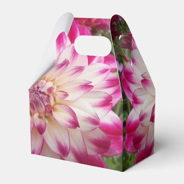 Beaux Geschenkschachtel (Vorderseite)