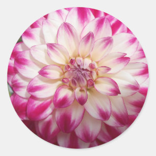 Beaux Runder Aufkleber