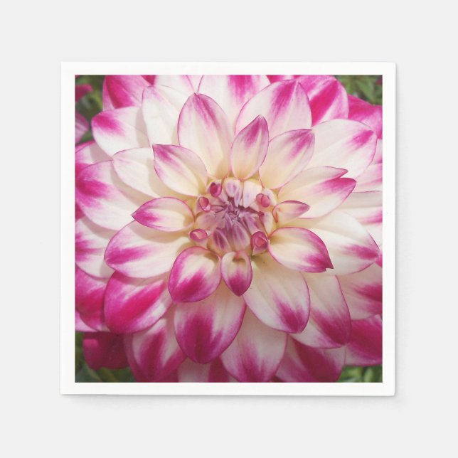 Beaux Serviette (Vorderseite)