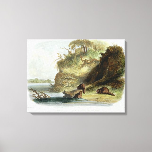 Beaver Hut on the Missouri, Plattform 17 from volu Leinwanddruck (Vorderseite)