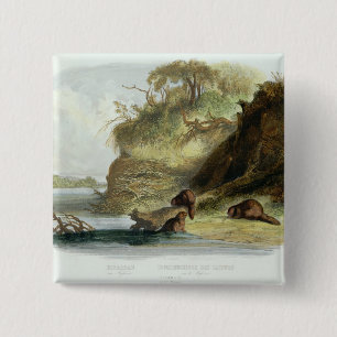 Beaver Hütte auf dem Missouri, überziehen Sie 17 Button