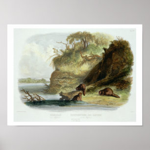Beaver Hütte auf dem Missouri, überziehen Sie 17 Poster