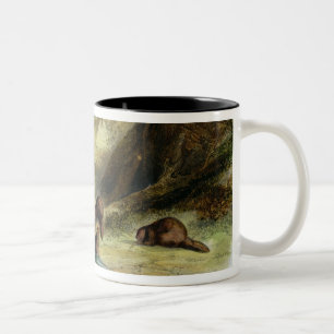 Beaver Hütte auf dem Missouri, überziehen Sie 17 Zweifarbige Tasse