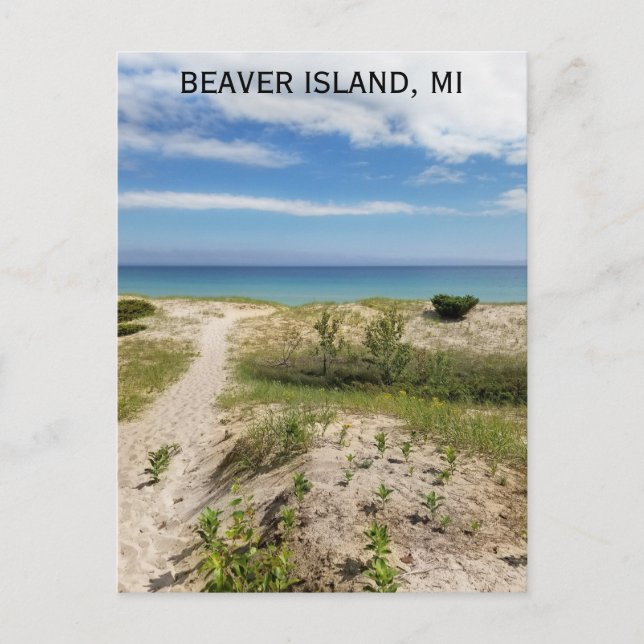 Beaver Island Michigan Beach Travel Postkarte (Vorderseite)