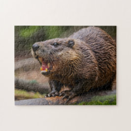 Beaver Jigsaw Puzzles
