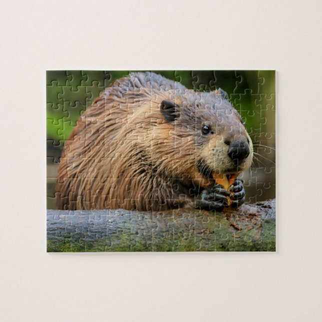 Beaver Jigsaw Puzzles Ai (Horizontal)