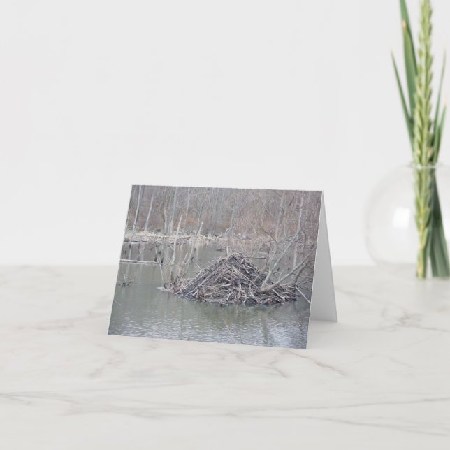Beaver Lodge #1 Note Card Feiertagskarte (Vorderseite)