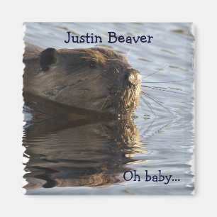 Beaver-Magnete Magnet