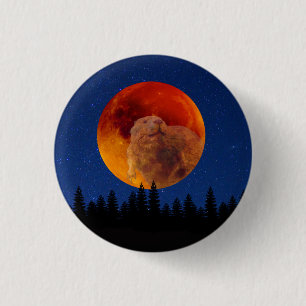 Beaver Moon im November Button