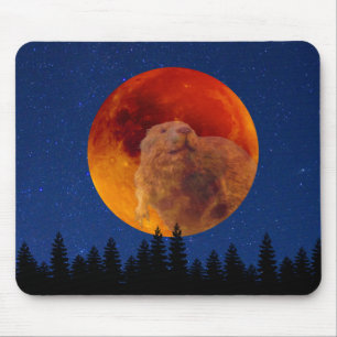 Beaver Moon im November Mousepad