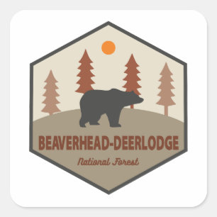 Beaverhead Deerlodge National Forest Montana Bear Quadratischer Aufkleber