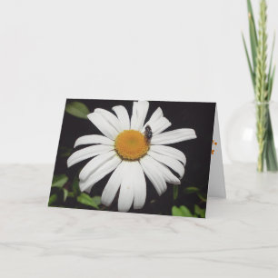 "Bebe Upon Daisy" - Gute Karte
