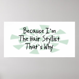 Because I'm the Hair Stylist Poster