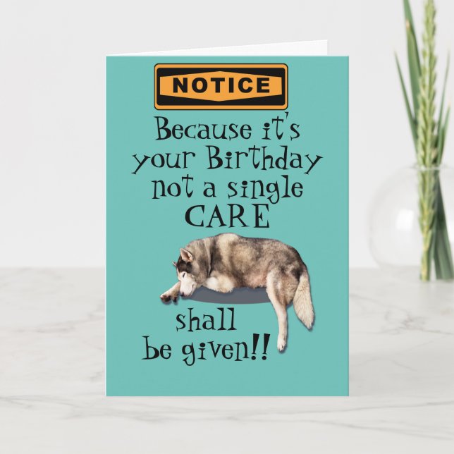 because it's your birthday not a care  bday card karte (Vorderseite)