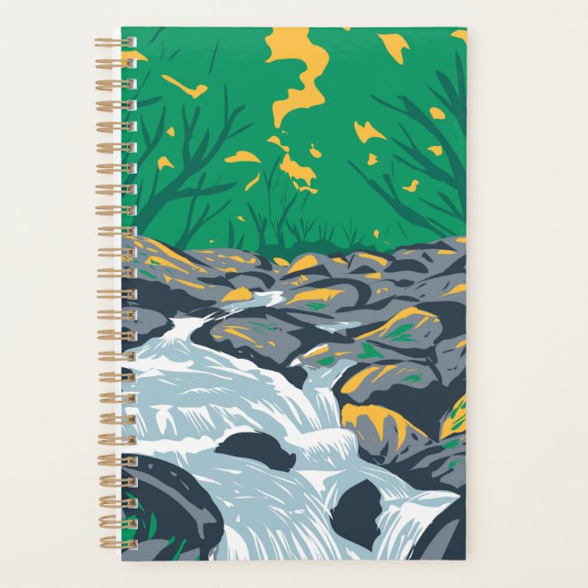 Becky Falls Dartmoor Planer (Vorderseite)