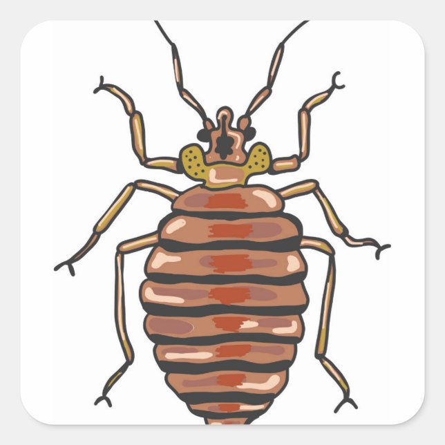 Bed Bug Sketch Quadratischer Aufkleber (Vorderseite)