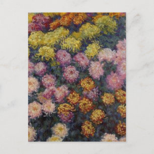 Bed of Chrysanthemas von Claude Monet Postcard Postkarte
