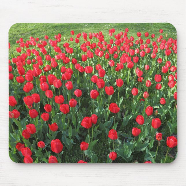Bed of Red Tulips 01 Mousepad (Vorne)