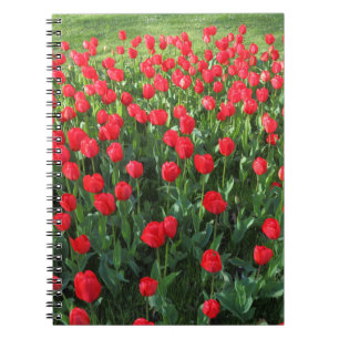 Bed of Red Tulips 01 Notizblock