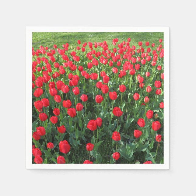 Bed of Red Tulips 01 Serviette (Vorderseite)