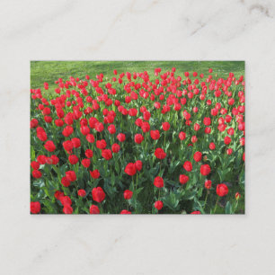 Bed of Red Tulips 01 Visitenkarte