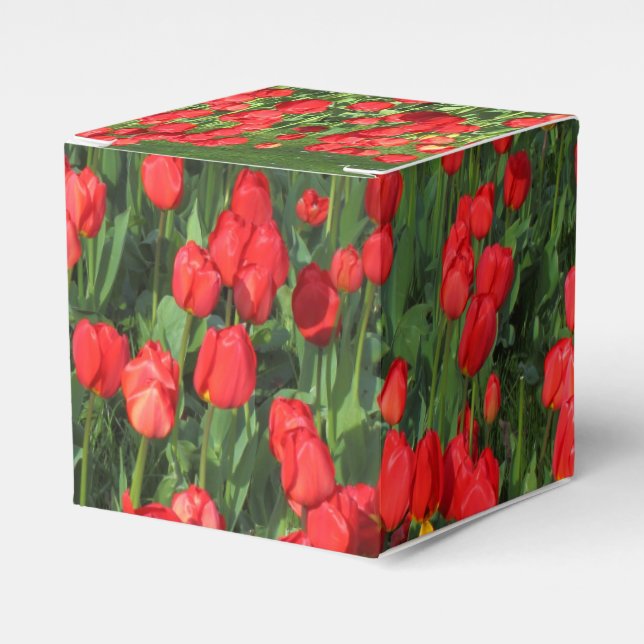 Bed of Red Tulips 02 Geschenkschachtel (Vorderseite)