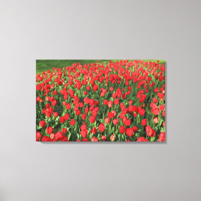 Bed of Red Tulips 02 Leinwanddruck (Vorderseite)