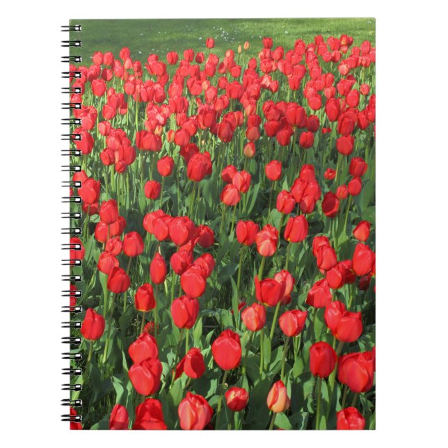 Bed of Red Tulips 02 Notizblock (Vorderseite)