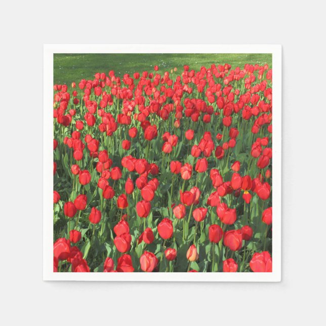 Bed of Red Tulips 02 Serviette (Vorderseite)