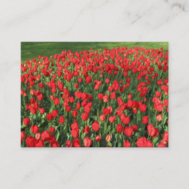Bed of Red Tulips 02 Visitenkarte (Vorderseite)