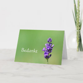 Bedankt - Danke in Niederländisch mit Lavendel-Blu