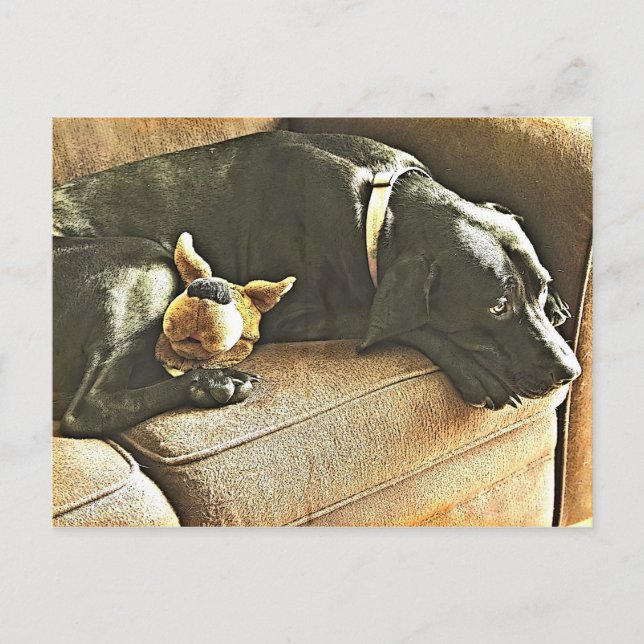 Bedauern Postkarte (Vorderseite)