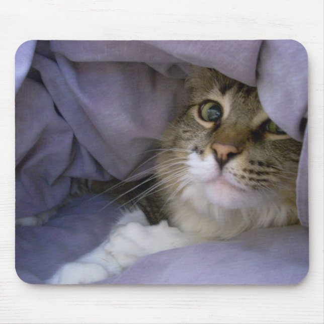 Bedeckte Miezekatze Mousepad (Vorne)