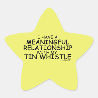 Bedeutende Beziehung Tin Whistle Star Sticker