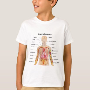 Bedeutende innere Organe im menschlicher T-Shirt