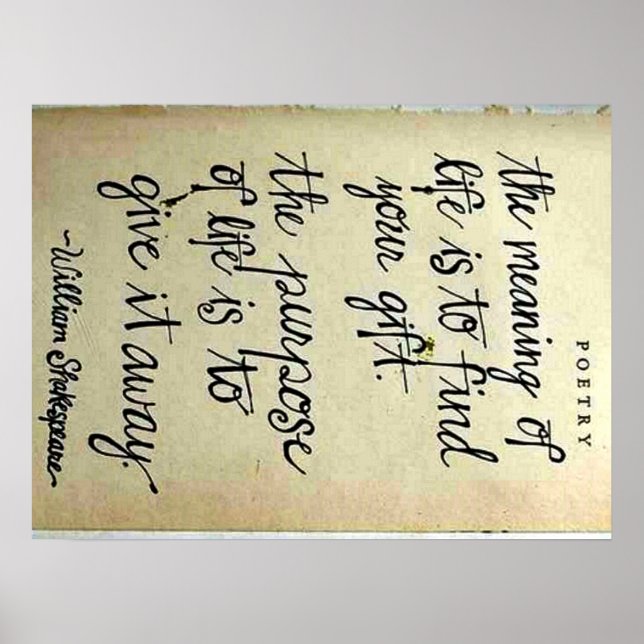 Bedeutung vs. Lebenszweck Poster (Vorne)