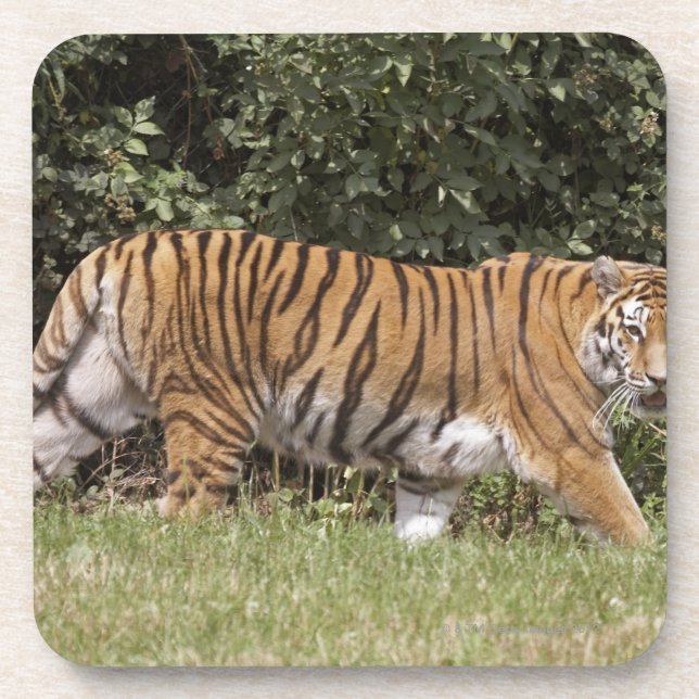 Bedfordshire, England 2 Getränkeuntersetzer (Vorderseite)