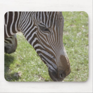 Bedfordshire, England Mousepad
