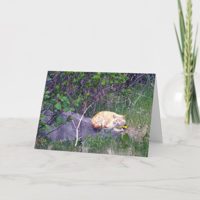 bedingungslose Grußkarte Karte (Vorderseite)