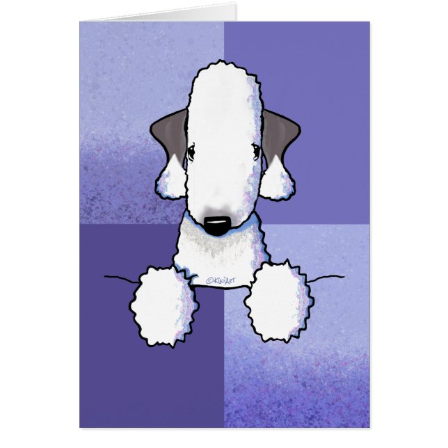 Bedlington Terrier (Vorne)