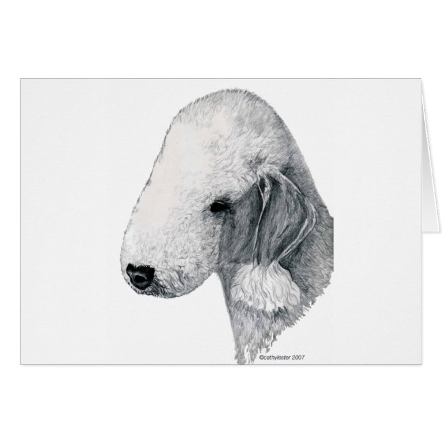 Bedlington Terrier (Vorderseite (Horizontal))