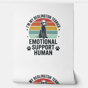 Bedlington Terrier Emotionaler Unterstützer Mensch Tapete