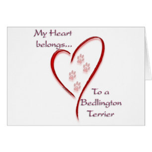 Bedlington Terrier Heart Belongs