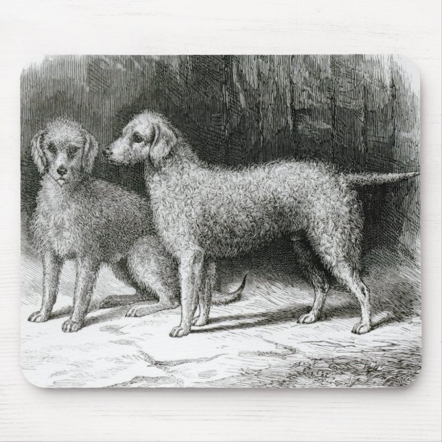 Bedlington Terrier-Herr F. Armstrongs Mousepad (Vorne)