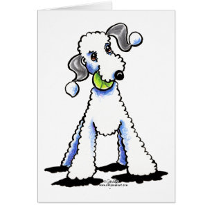 Bedlington Terrier Let's Play