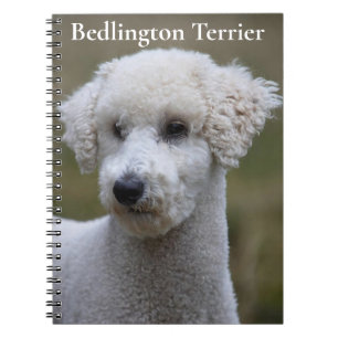 Bedlington Terrier Notizbuch Notizblock
