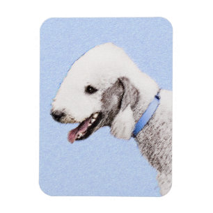 Bedlington Terrier Painting - Original Dog Art Magnet