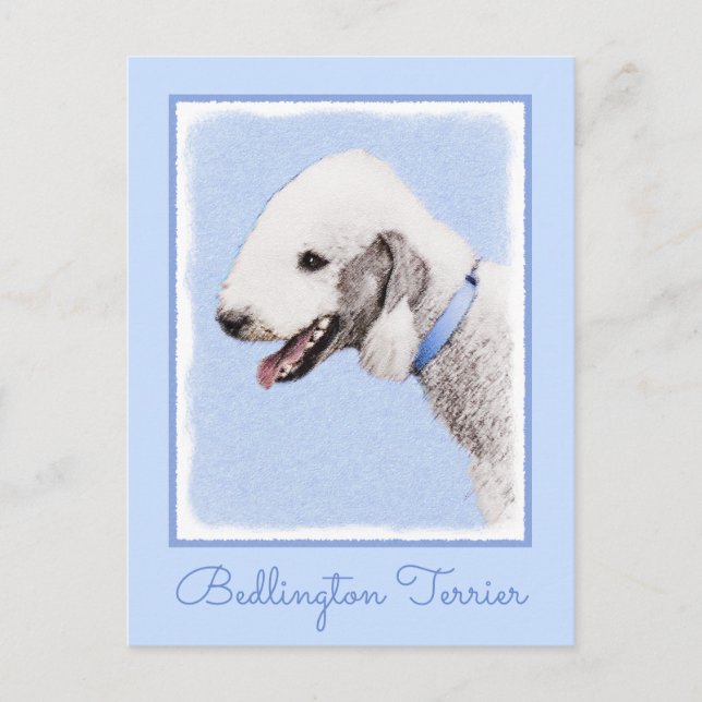 Bedlington Terrier Painting - Original Dog Art Postkarte (Vorderseite)
